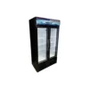 Visicooler LC-600 (2 Puertas). Bozzo